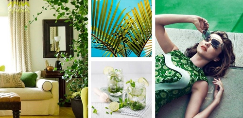 058f6768-fad1-425c-b500-21baa289fb80